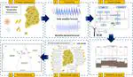 Nationwide sustainable renewable energy and Power-to-X deployment planning in South Korea assisted with forecasting model